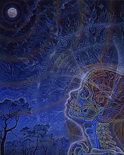  Copyright Alex Grey