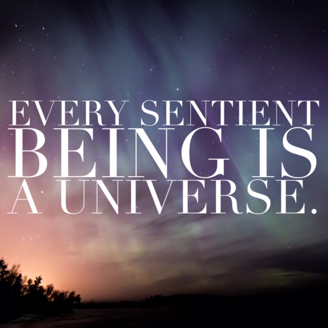 Every Sentiment Being is a universe